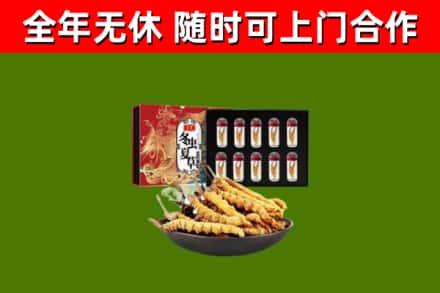 东港回收冬虫夏草价格