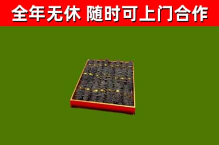 东港回收海参